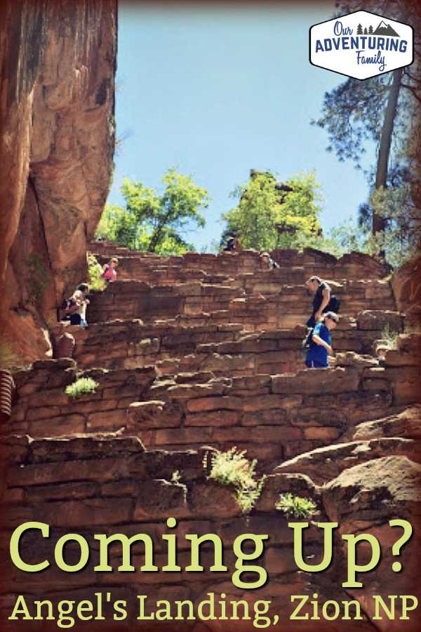 I’d forgotten just how steep the hike to Angel’s Landing is. Years ago I hiked Angel’s Landing with my sister, but Jeremy and Sunshine had never had the opportunity. It is not an easy hike, nor is it one for the faint of heart. It's steep in places, you have to scramble over rocks in places, and you might be hanging onto a chain while crossing a narrow ridge in other places. More at ouradventuringfamily.com.