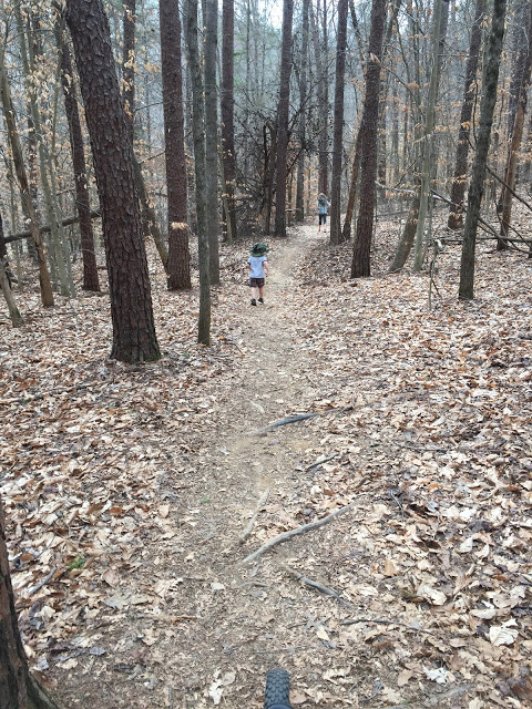 Wondering why so much hiking on this blog? Because it's easy to get started and can lead to so many fun adventures for the whole family. Read more at ouradventuringfamily.com. 