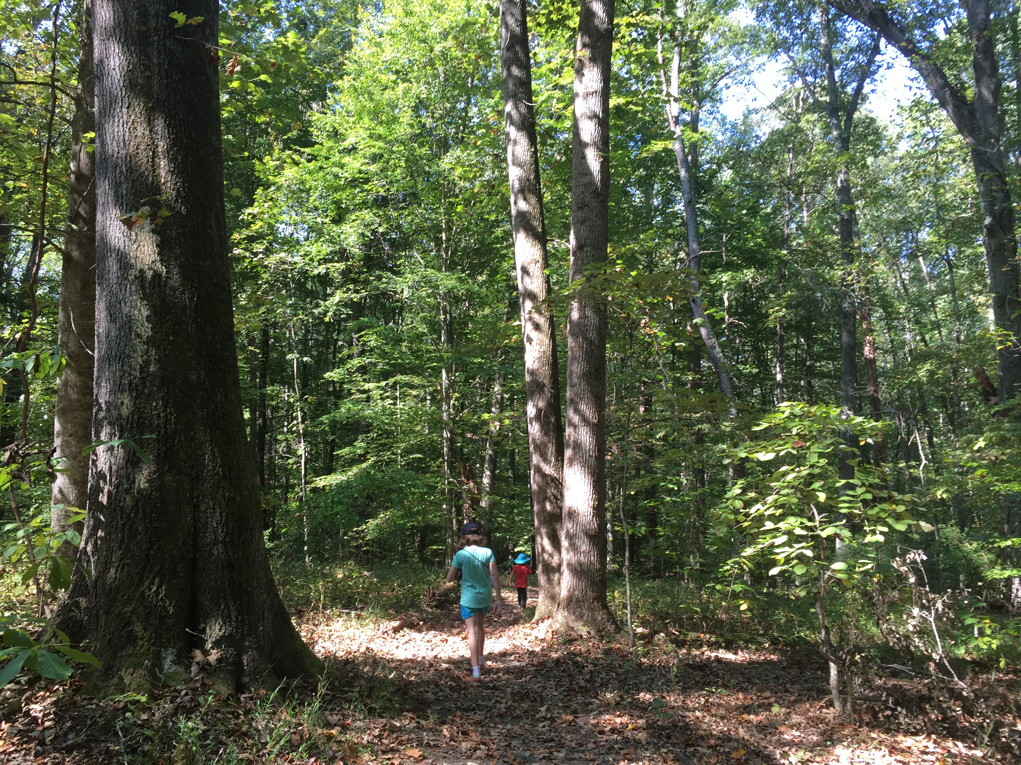 Wondering why so much hiking on this blog? Because it's easy to get started and can lead to so many fun adventures for the whole family. Read more at ouradventuringfamily.com. 