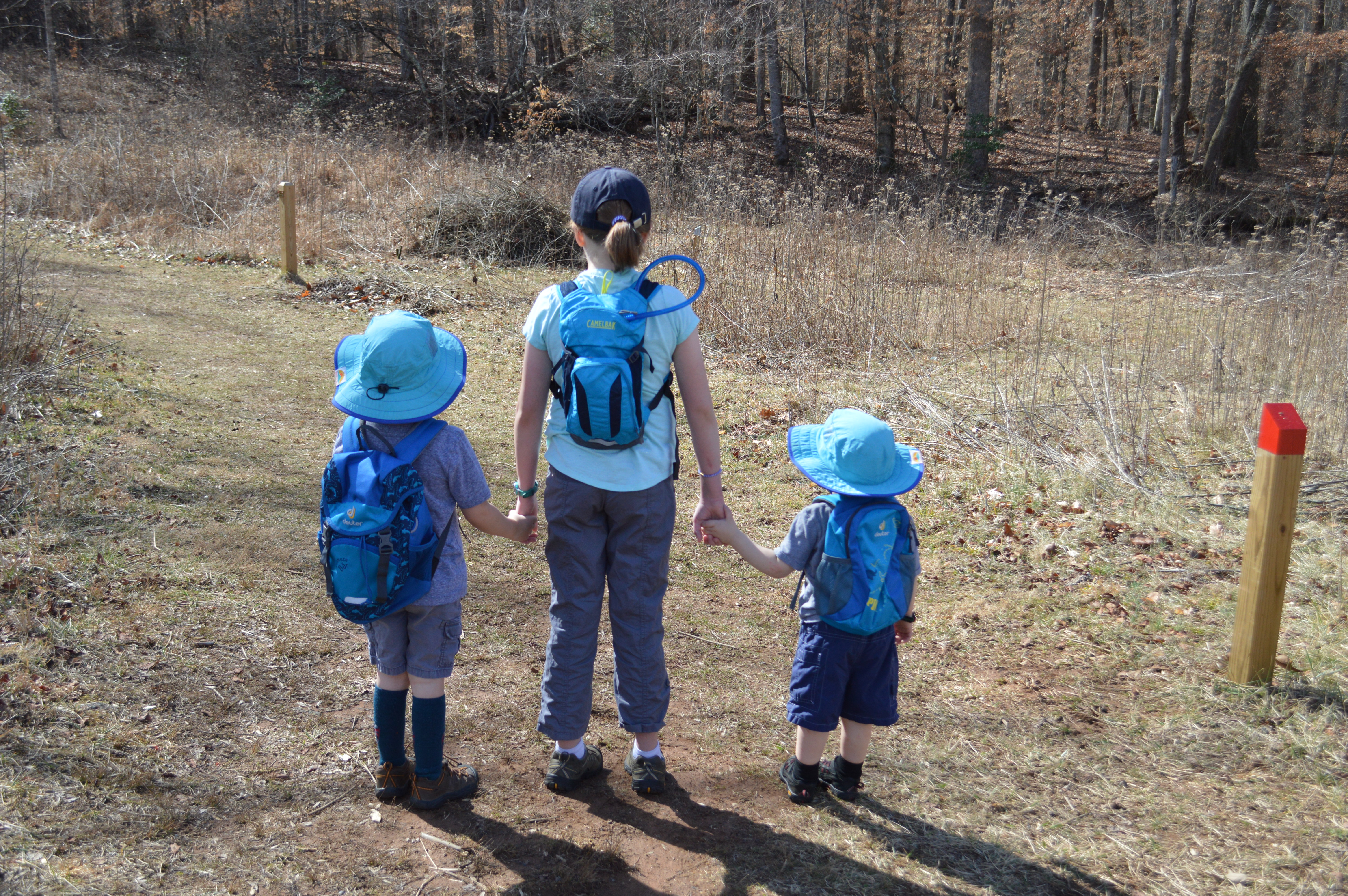 Wondering about hiking packs for kids and adults wearing kids? When we first started hiking, I wasn’t sure if hiking-specific backpacks were worth it. Go to ouradventuringfamily.com to read what we decided to do.