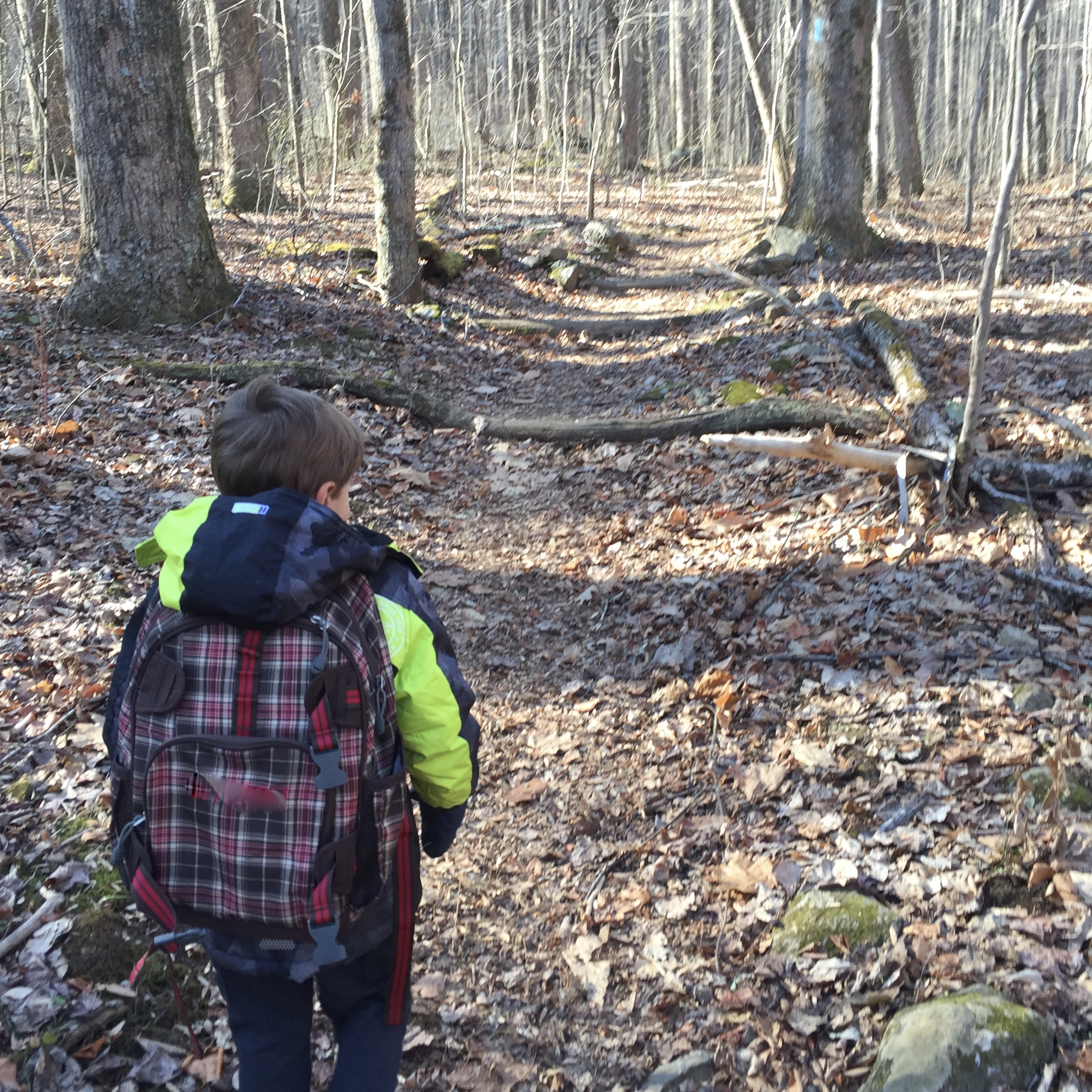 Wondering about hiking packs for kids and adults wearing kids? When we first started hiking, I wasn’t sure if hiking-specific backpacks were worth it. Go to ouradventuringfamily.com to read what we decided to do.