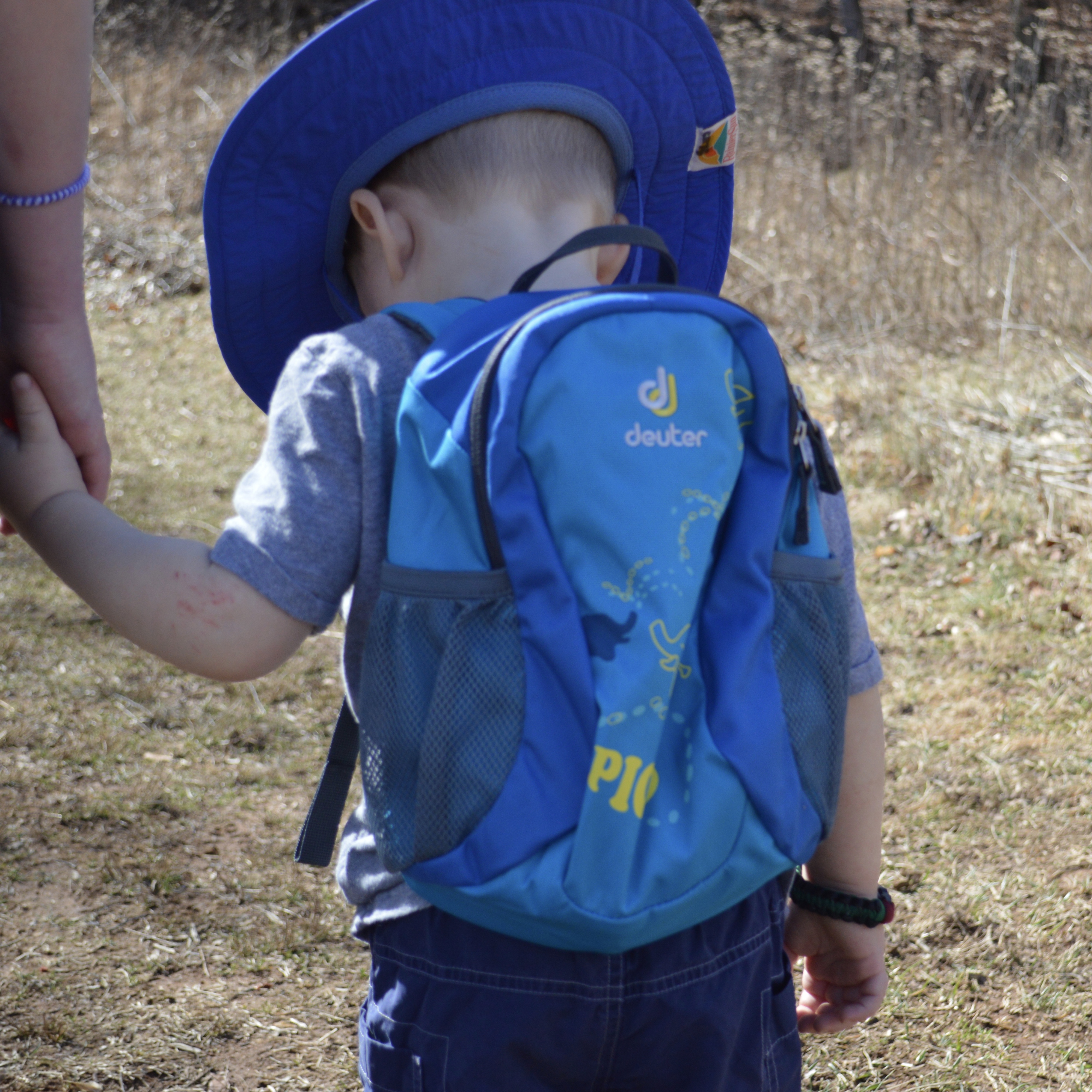 Wondering about hiking packs for kids and adults wearing kids? When we first started hiking, I wasn’t sure if hiking-specific backpacks were worth it. Go to ouradventuringfamily.com to read what we decided to do.