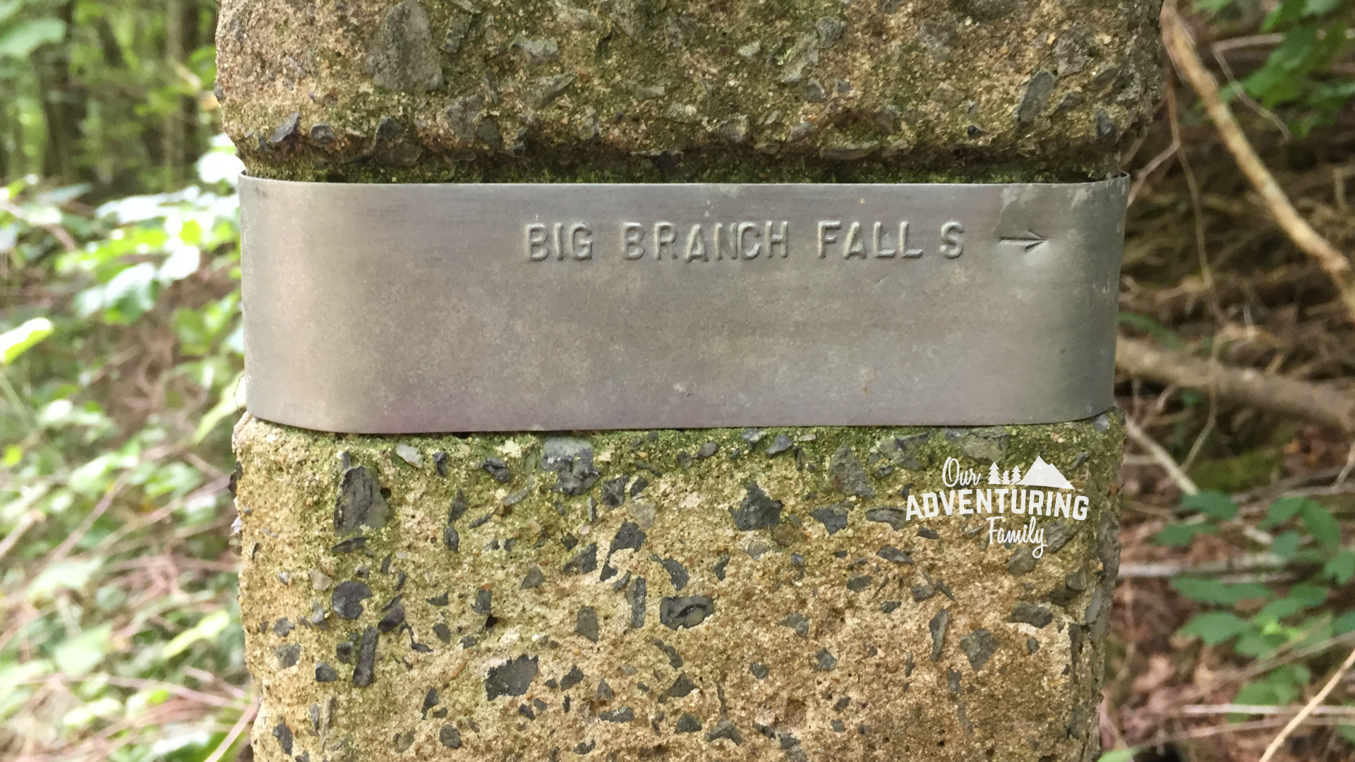 big branch falls sign post