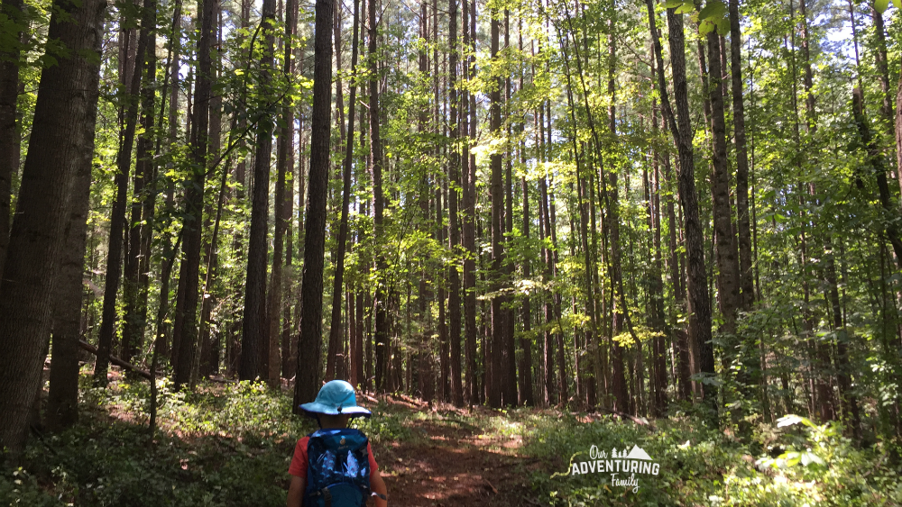 Bored with going to the same parks and trails all the time? Branch out and find new trails to hike at historical homes such as Monticello and Montpelier. Read about some of the trails we’ve found at ouradventuringfamily.com. 