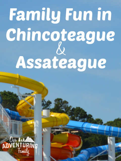 Planning a trip to the Eastern Shore of Virginia? Here's some ideas for more family fun in Chincoteague and Assateague. Find them at ouradventuringfamily.com and add them to your itinerary!