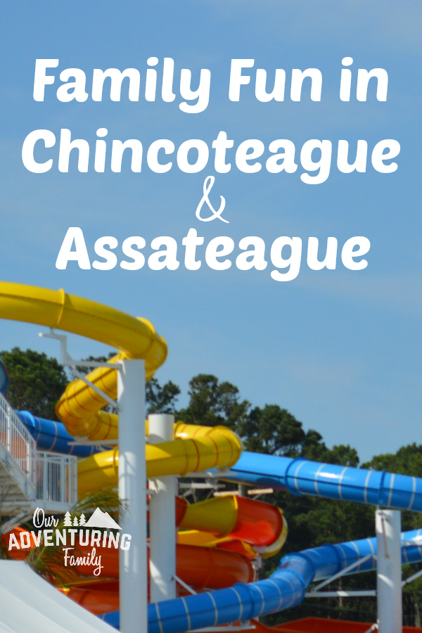 Planning a trip to the Eastern Shore of Virginia? Here's some ideas for more family fun in Chincoteague and Assateague. Find them at ouradventuringfamily.com and add them to your itinerary!