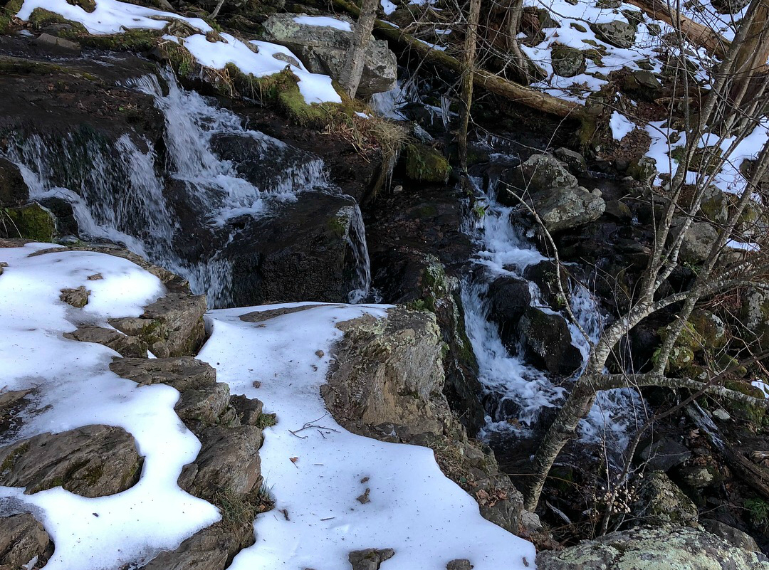 On Black Friday, we decided to #OptOutside & hiked in Shenandoah NP. Read about our OptOutside 2018 experience at ouradventuringfamily.com, & why it wasn't quite what we expected.