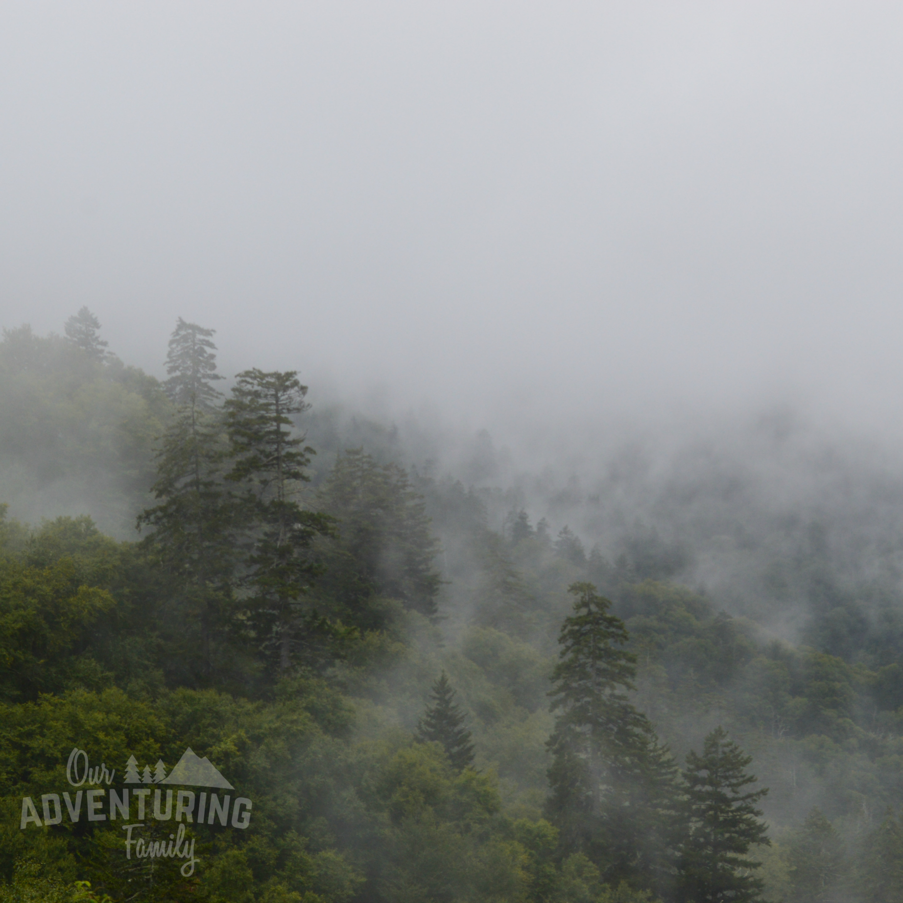 Looking for some family friendly Great Smoky Mountains hikes? Here’s some fun hikes and destinations to explore on your first visit. Read about them at ouradventuringfamily.com.