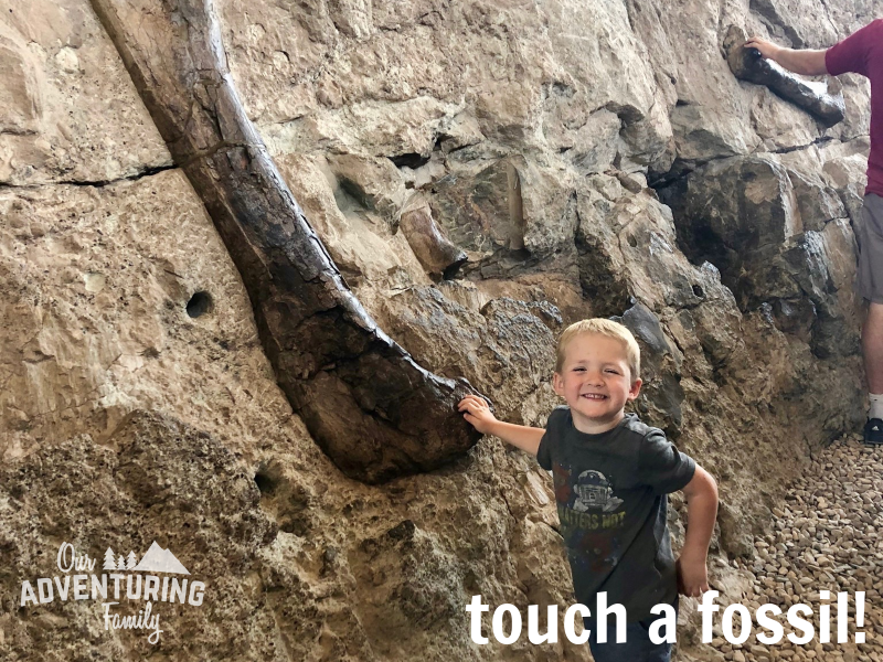 If you’re planning a roadtrip out west, add Dinosaur National Monument to your itinerary. Go to ouradventuringfamily.com for a list of things to do while you’re there. 
