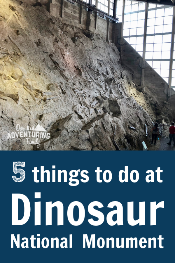 If you’re planning a roadtrip out west, add Dinosaur National Monument to your itinerary. Go to ouradventuringfamily.com for a list of things to do while you’re there. 